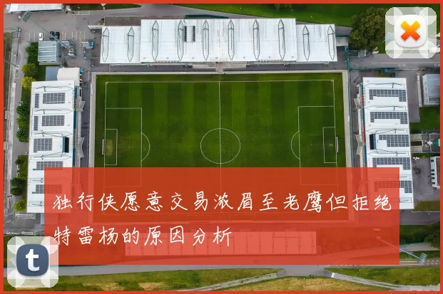 独行侠愿意交易浓眉至老鹰但拒绝特雷杨的原因分析