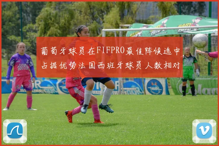 葡萄牙球员在FIFPRO最佳阵候选中占据优势法国西班牙球员人数相对较少